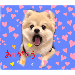 [LINEスタンプ] もずく:1st