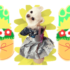 [LINEスタンプ] 白ぽめしあん日常
