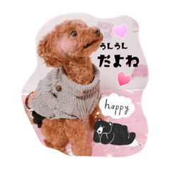 [LINEスタンプ] はるちゃん＆あんちゃん