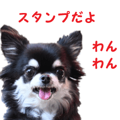 [LINEスタンプ] まめちゃんの本音