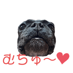 [LINEスタンプ] フレブル♡ココアちゃん♡5