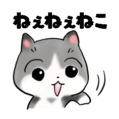 [LINEスタンプ] ねぇねぇねこ