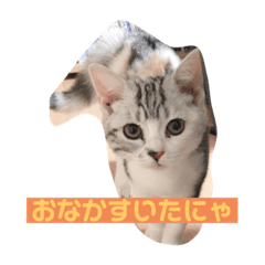 [LINEスタンプ] おだんごの日々ver1
