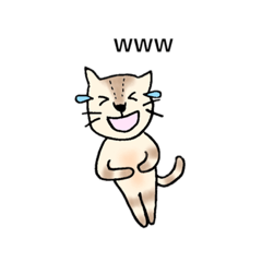 [LINEスタンプ] うちのネコと日常