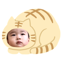 [LINEスタンプ] 琥二朗スタンプ