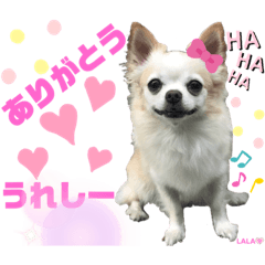 [LINEスタンプ] ララちゃんにお任せ❣️