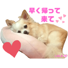 [LINEスタンプ] ララちゃんにお任せ Part2