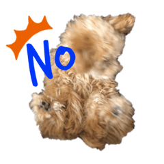 [LINEスタンプ] Limeくん