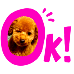 [LINEスタンプ] 可愛いわんわんスタンプ