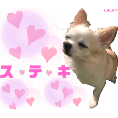 [LINEスタンプ] ララちゃんにお任せ❣️Part5