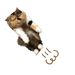ぶさかわきなこちゃん 3