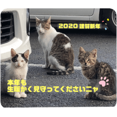 [LINEスタンプ] 暖かく見守ってください