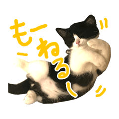 [LINEスタンプ] ろろちゃんのスタンプ