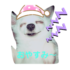 [LINEスタンプ] 村田さん家のりきぞうくん②