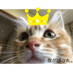 [LINEスタンプ] 花梨のつぶやき