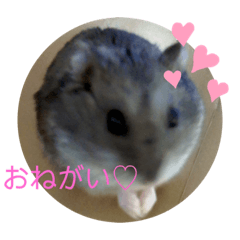 [LINEスタンプ] ハムのだんごくん