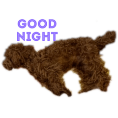 [LINEスタンプ] ちょこくんの日常