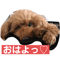 [LINEスタンプ] 我が屋のお嬢様♡