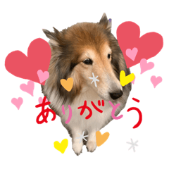 [LINEスタンプ] I LOVE ma -chan 5