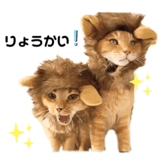 [LINEスタンプ] ミー太とちゃちゃ丸