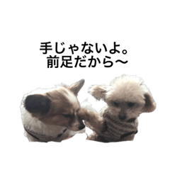 [LINEスタンプ] おむつ犬 くるた
