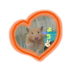 [LINEスタンプ] はむ太郎