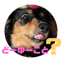 [LINEスタンプ] ちくわスタンプ②