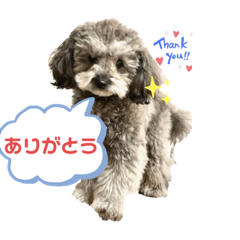 [LINEスタンプ] 愛犬ウルくん（ウルフ由伸くん）