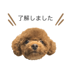 [LINEスタンプ] ときたむぎ2