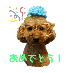 [LINEスタンプ] 室井チョコの日常