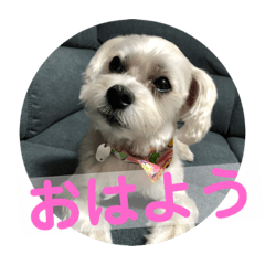 [LINEスタンプ] はなとそらスタンプ2