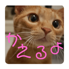[LINEスタンプ] cocosora0901-01
