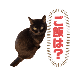 [LINEスタンプ] 鈴木家のルドルフ