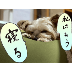 [LINEスタンプ] 來夢 #2