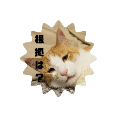 [LINEスタンプ] まろももち看護学生用