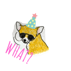 [LINEスタンプ] チワワのきぃちゃん