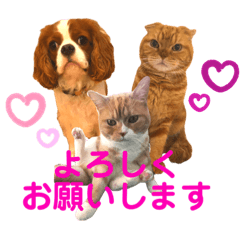 [LINEスタンプ] ハルとコハルとチロル