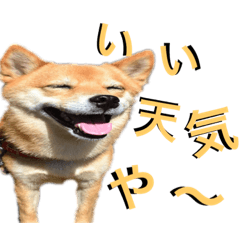 [LINEスタンプ] まるちゃんの西表島生活