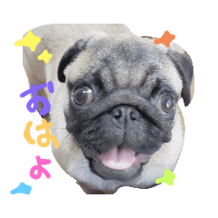 [LINEスタンプ] Booの生活2