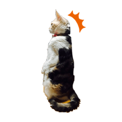 [LINEスタンプ] むげトうば