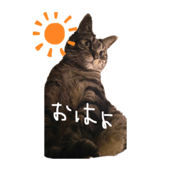 [LINEスタンプ] ピータンちゃん