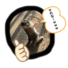 [LINEスタンプ] ねこねこシリーズ②