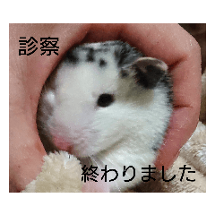 [LINEスタンプ] 病院連絡スタンプ