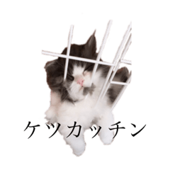 [LINEスタンプ] 前田wavyみつを。さん