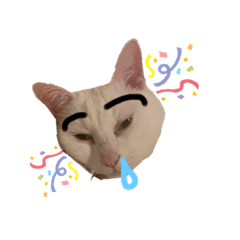 [LINEスタンプ] かわむかいネコちゃんず