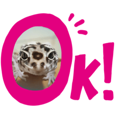 [LINEスタンプ] 可愛いレオパ and仲間たち