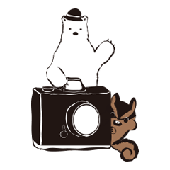 [LINEスタンプ] かめらっこあにまるず。