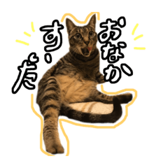 [LINEスタンプ] ゆきじじりり