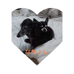 [LINEスタンプ] 我が家の愛犬  アンジーとトム