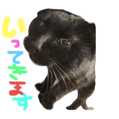 [LINEスタンプ] 僕たち私たち、にゃーたらこちむに